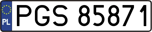 PGS85871