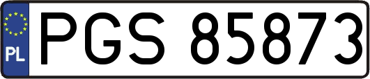 PGS85873