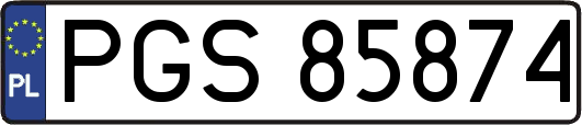 PGS85874