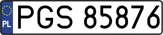 PGS85876