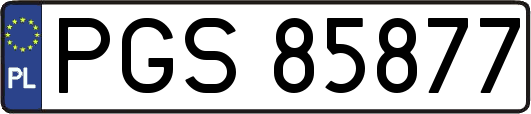 PGS85877