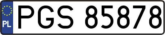 PGS85878