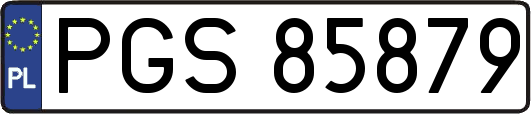 PGS85879