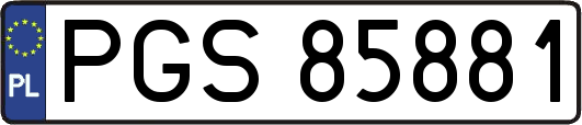 PGS85881