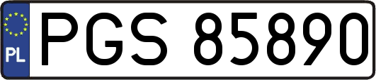 PGS85890