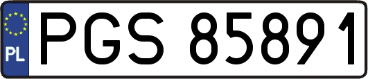 PGS85891