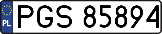 PGS85894