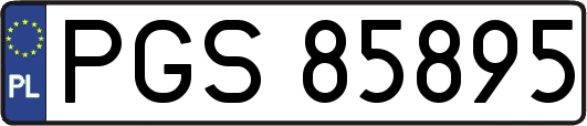 PGS85895