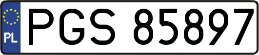 PGS85897