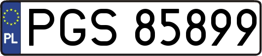 PGS85899