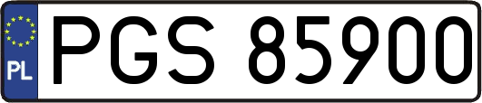 PGS85900