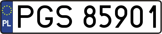 PGS85901