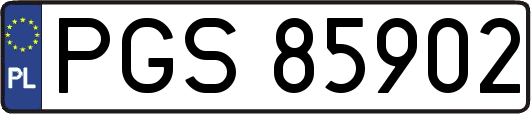 PGS85902