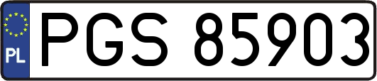 PGS85903