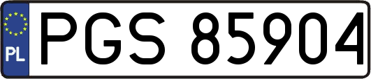 PGS85904