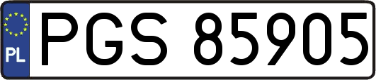 PGS85905