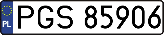 PGS85906