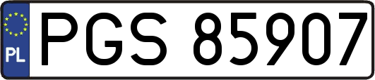 PGS85907