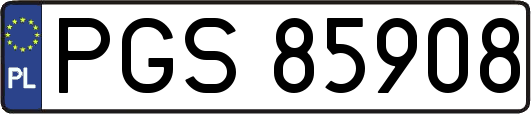 PGS85908