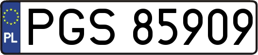 PGS85909