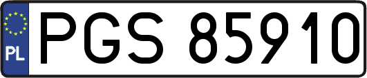 PGS85910