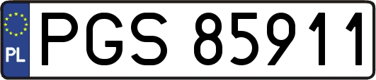 PGS85911