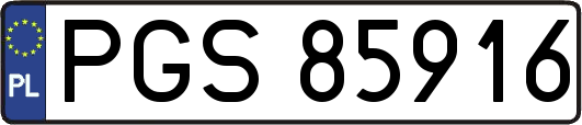 PGS85916