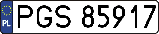 PGS85917