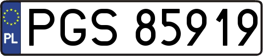 PGS85919