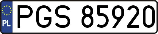 PGS85920