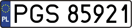 PGS85921