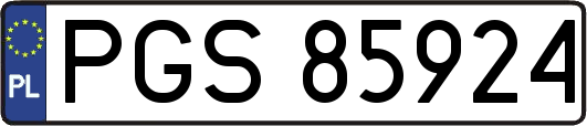PGS85924