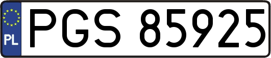 PGS85925