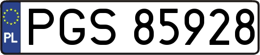 PGS85928