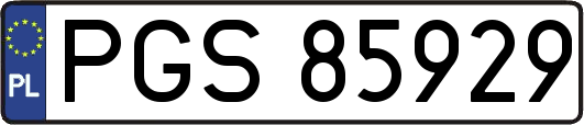 PGS85929
