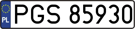 PGS85930