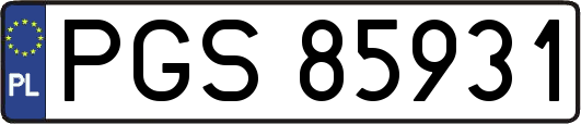 PGS85931