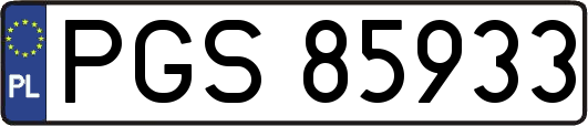 PGS85933