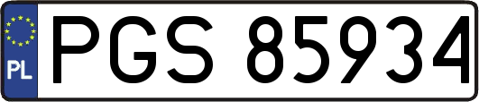 PGS85934