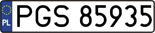 PGS85935
