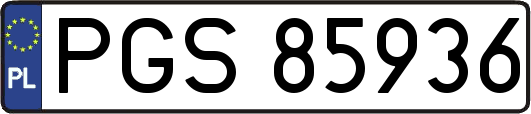 PGS85936