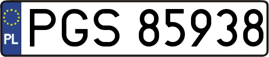 PGS85938