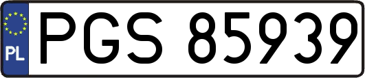 PGS85939