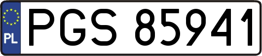 PGS85941
