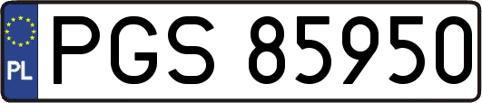 PGS85950