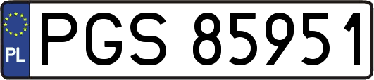 PGS85951