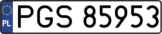 PGS85953