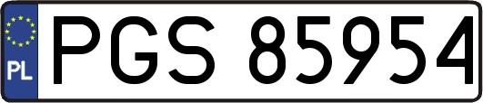 PGS85954