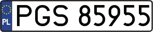 PGS85955
