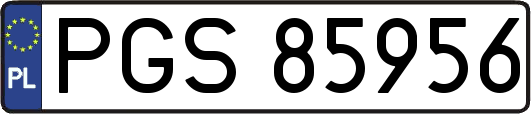 PGS85956
